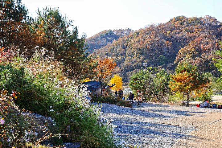 [경기도 연천군] 라곰