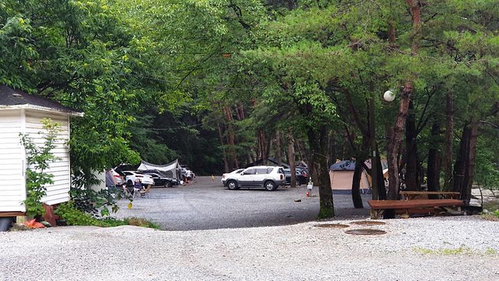 [강원도 영월군] 산골캠핑장 – 법흥계곡 최상류 계곡 낀 소나무 숲 캠핑장