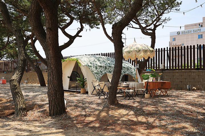 [인천광역시 중구] 을왕리 솔트 캠핑장 – 영종도 왕산 해수욕장 내 멋진 소나무 숲 캠핑장