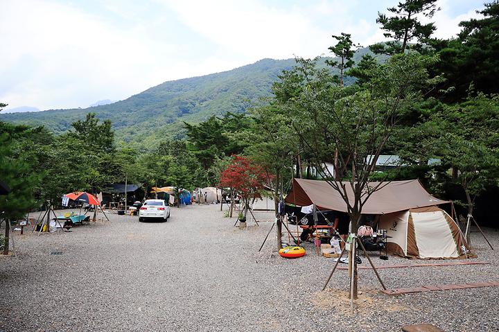 [강원도 양양군] 오색 산새소리캠핑장 – 오색온천 가는 길 공영주차장 옆 캠핑장