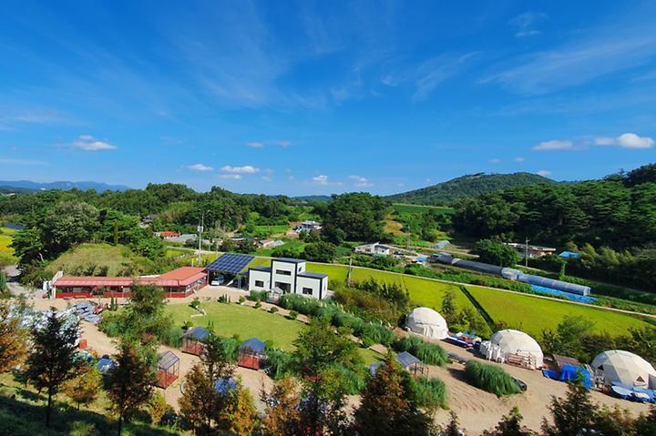 [충청남도 홍성군] 더힐링식물원 야영장
