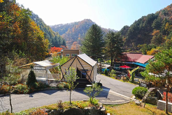 [경기도 포천시] 테라스527 캠핑장