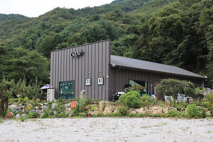 [강원도 횡성군] 숲 나들이 야영장