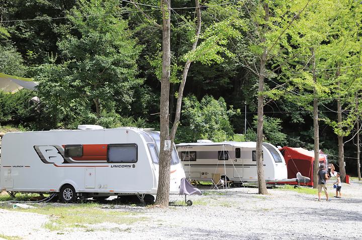 [강원도 원주시] 피노키오관광농원 야영장 – 황둔계곡안쪽 피노키노 휴양림내 카라반 캠핑장
