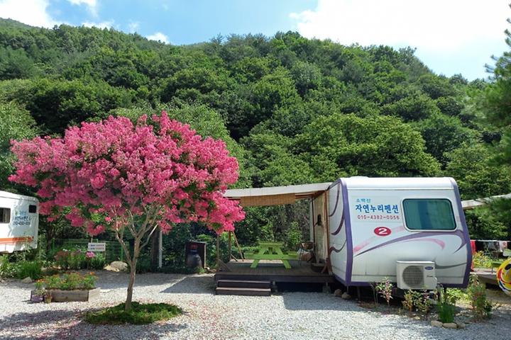 [경상북도 영주시] 소백산자연누리야영장