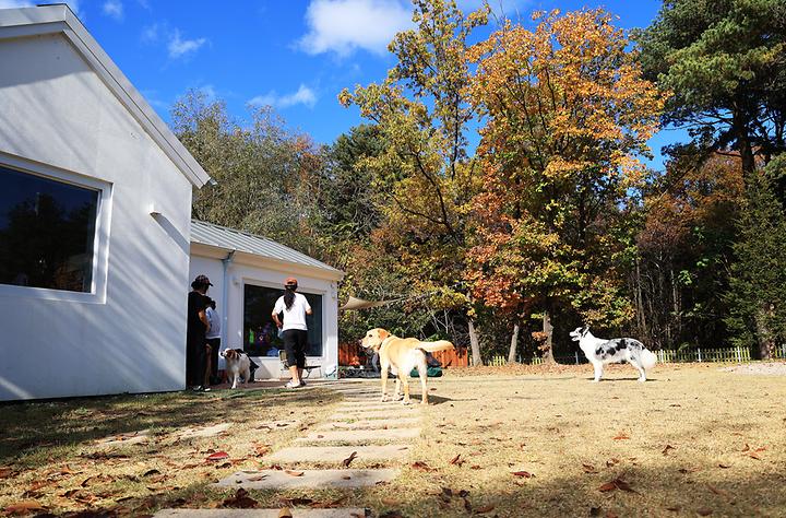 [경기도 포천시] 타이니포춘