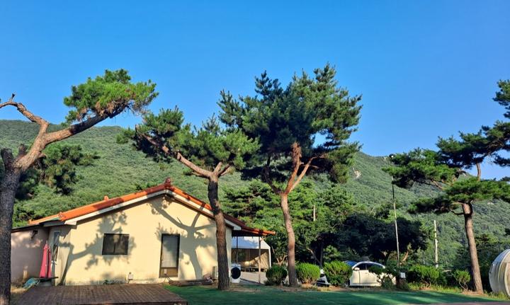 [충청남도] 리틀빌리지 – 자연 속에서 온 가족이 함께 즐기는 사계절 테마 캠핑장, 리틀빌리지