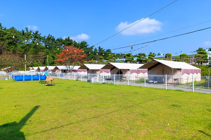 [충청남도 서산시] 펫앤트리