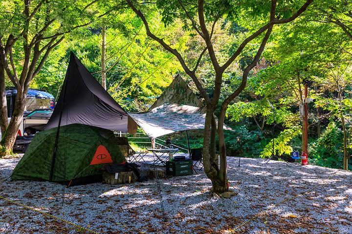 [경상북도 김천시] 옥당걸숲속관광농원