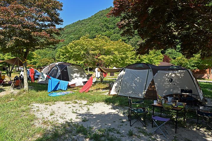 [전라북도 남원시] 달궁야영장 – 시원하다못해 차가움을 느낄 수 있는 여름철 추천 피서지