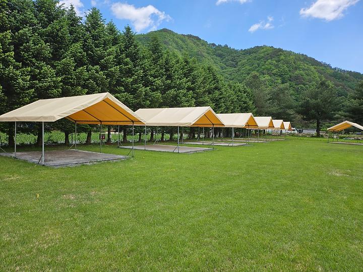 [강원도 영월군] 야단법석 – 넓은 천연 잔디마당을 갖춘 불교체험 캠핑장