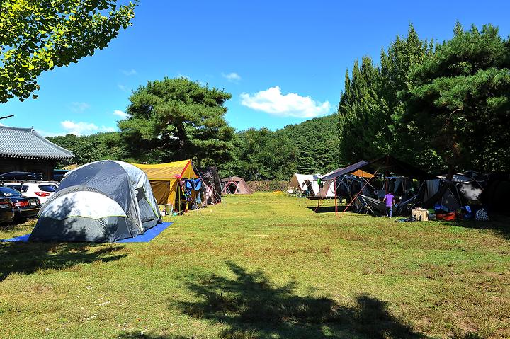 [경기도 포천시] 아이에프에이 캠프운악 – 어른, 아이  모두가 행복하고 즐거워하는 캠핑장