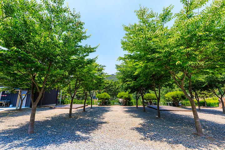 [경상남도 밀양시] 밀양 가보자 캠핑장 – 울창한 숲으로 이뤄져 그늘이 맑은 캠핑장
