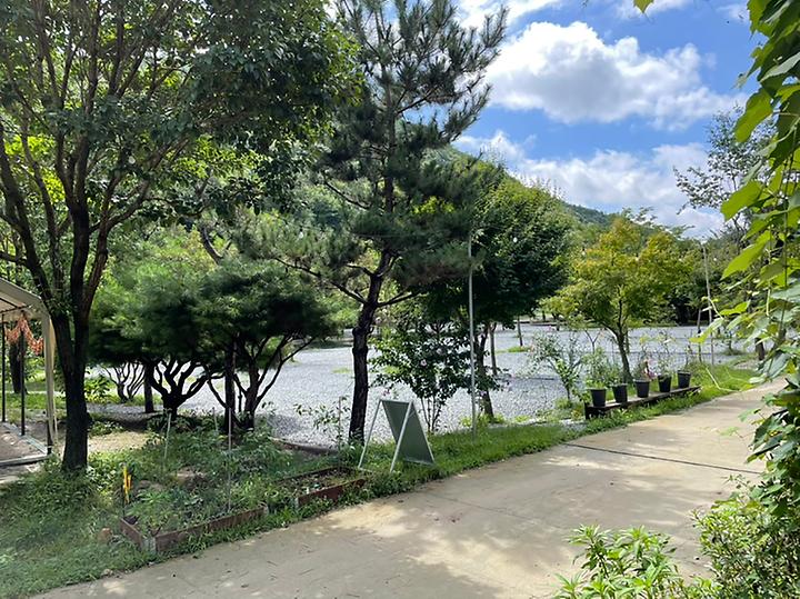 [전라북도 완주군] 대둔산캠핑펜션오토캠핑장 – 숲에 둘러싸인 계곡 인근 캠핑장