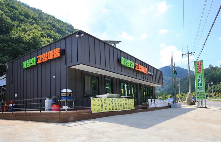 [강원도 평창군] 600마지기 가는길 야영장 – 600마지기 언덕 가는 길, 야생화 고향마을에서 운영하는 휴게소 캠핑장