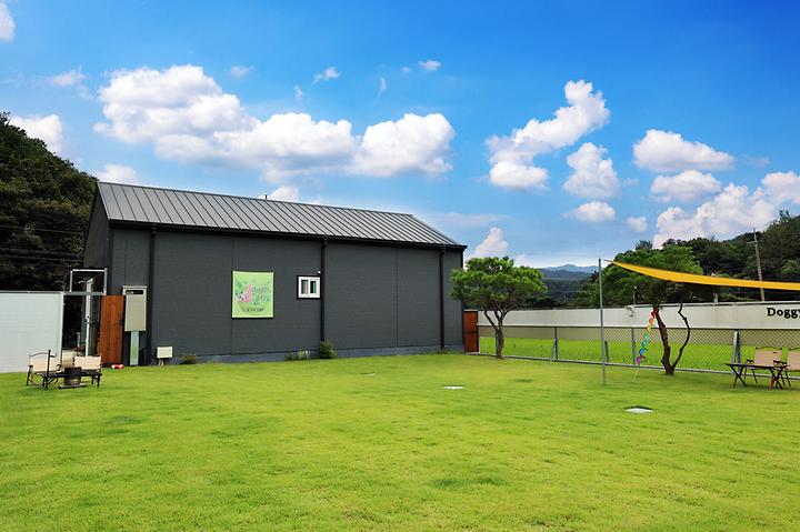 [강원도 횡성군] 도기도기캠프