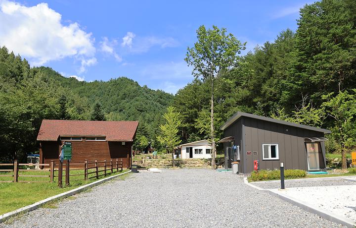 [강원도 태백시] 태백고원자연휴양림 자동차야영장