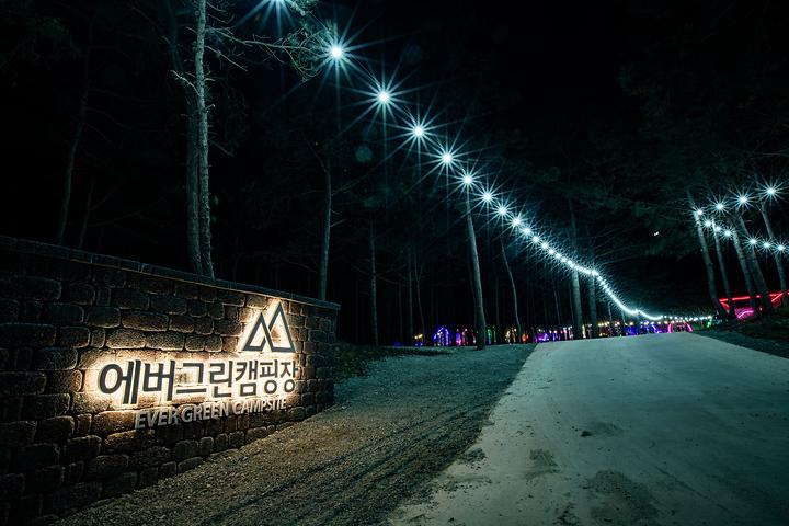 [전라남도 신안군] 에버그린캠핑장 – 전남 신안군 임자면 대광해수욕장 주변 소나무 숲속에 있는 아름다운 글램핑장