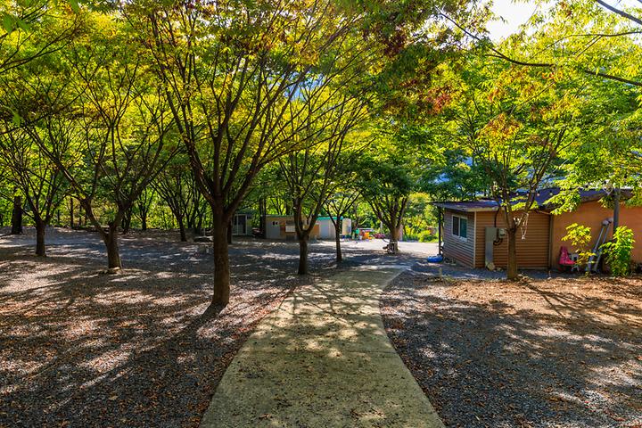 [경상북도 청도군] 약초농원 캠핑장