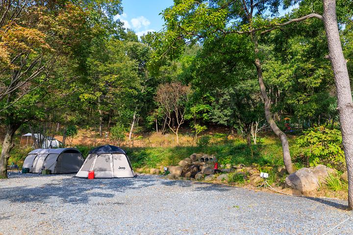 [전라남도 순천시] 상사호 오토 캠핑장