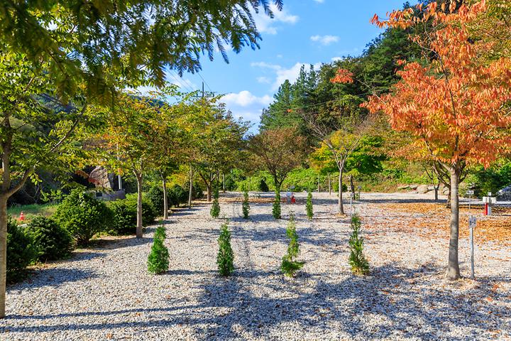 [경상북도 문경시] 별하숲캠핑장