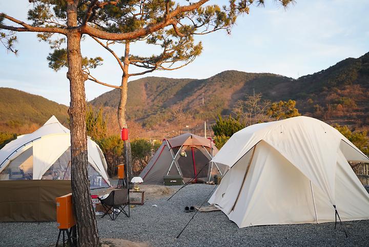 [경상남도 창녕군] FLOW 11 야영장 – 감성적인 분위기의 낙동강 인근 캠핑장