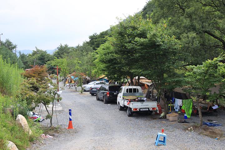 [강원도 영월군] 백년펜션 야영장