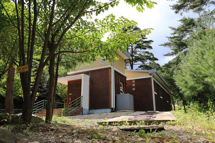 [강원도 삼척시] 국립검봉산자연휴양림야영장