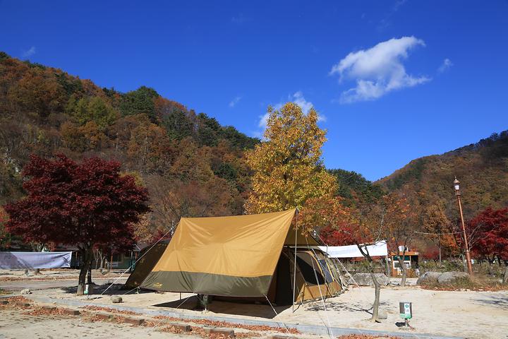 [전라북도 남원시] 달궁자동차야영장 – 지리산 달궁계곡에 위치한 국립공원 직영 야영장