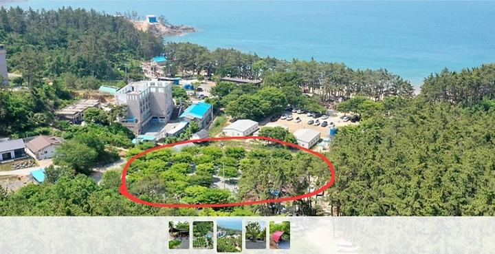 [충청남도 태안군] 굼벵이캠핑장 – 꾸지나무골 해수욕장에 위치한 캠핑장