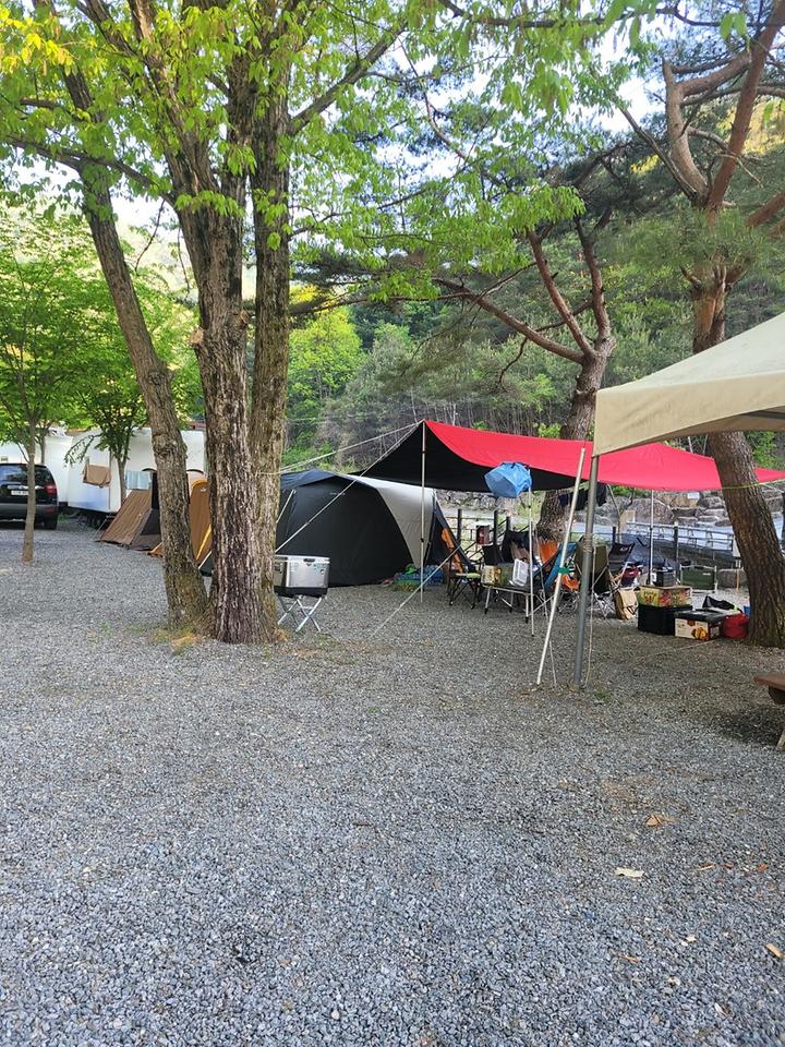 [강원도 영월군] 영월 엄둔밸리 계곡캠핑장  – 원주 신림IC에서 20분 거리에 있는 계곡 캠핑장