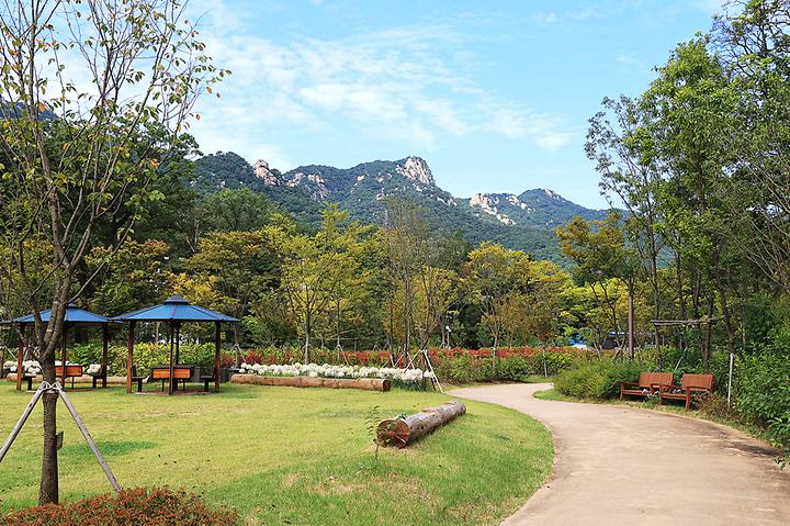 [서울특별시 강북구] 우이동 가족캠핑장 – 북한산과 우이천이 만나는 곳. 도심속 자연 캠핑장