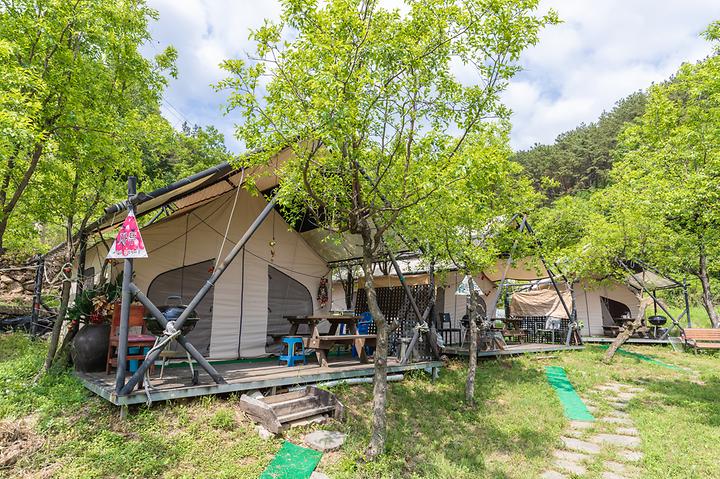 [경상북도 청도군] 렛츠캠핑 – 자연의 선물을 만끽하는 청도의 과수원에 조성된 어울림은 도심에서 지친 여러분의 일상을 힐링해 드립니다. 계절에 맞는 과일을 마음껏 맛보며 신나는 물놀이와 낚시를 즐길수 있는곳!