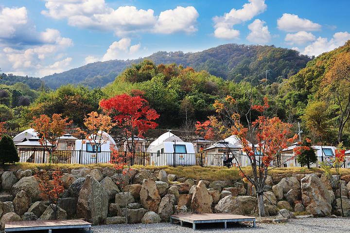 [경기도 포천시] 스토리숲(story숲)