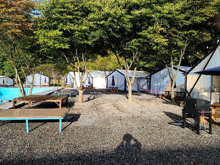 [충청남도 청양군] 평화숲 – 수영장이 있는 숲속 글램핑장