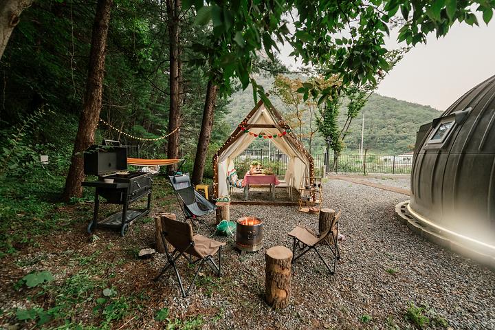 [경기도 양평군] 에코이글루 – 사계절 커피, 구아바 등 열대 식물 하우스가 있는 체험형 글램핑