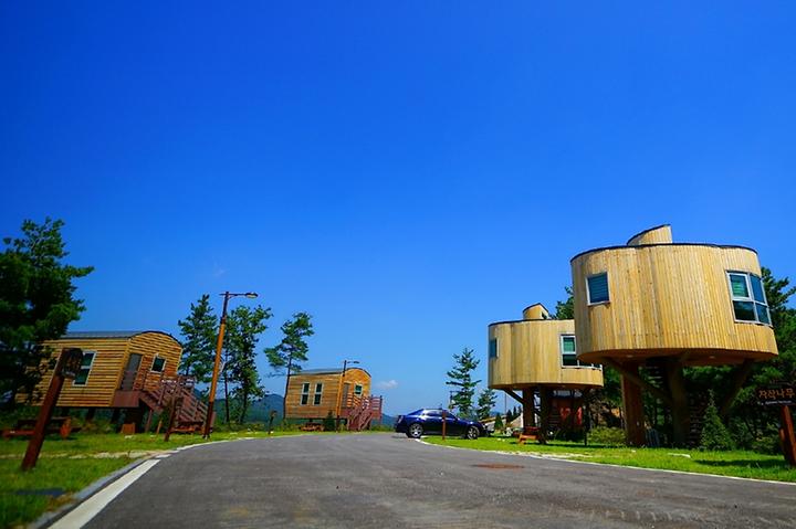 [전라북도 무주군] 무주 향로산 자연휴양림 – 피톤치드 가득한 휴양림에서 즐기는 캠핑