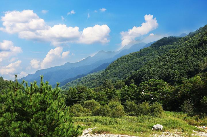 [강원도 인제군] 한계2리 솔밭야영장
