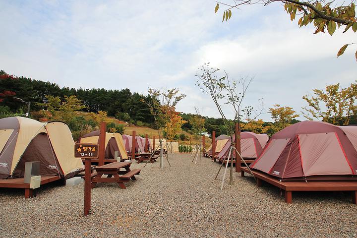 [충청남도 서천군] 서천 금빛노을 서울캠핑장 – 한적한 시골 고지대에 둥지 튼 캠핑장