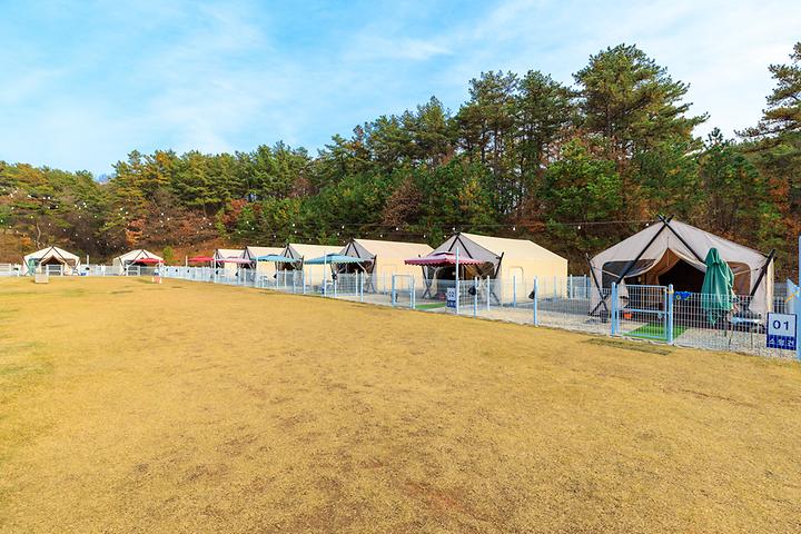 [충청북도 청주시] 멍글멍글 펫글램핑