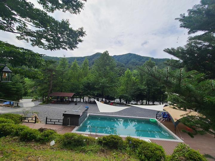 [강원도 영월군] 더좋은날n캠핑 – 메타세콰이어 그늘이 가득한 캠핑장, 시원한 계곡, 수영장이 있는 곳