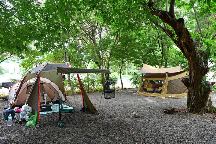 [경상남도 밀양시] 얼음골까투리 펜션&캠핑장 – 반려견 동반이 가능한 얼음골 까투리캠핑장,