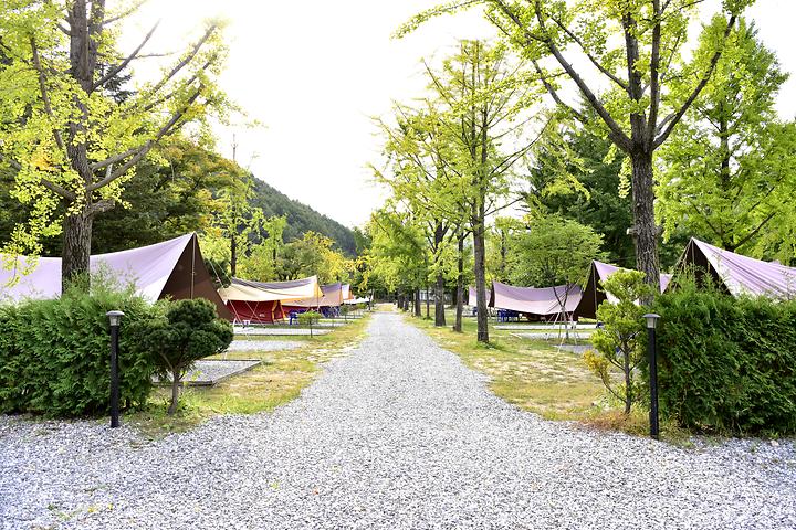 [경기도 가평군] 와이캠핑장 – 여자들이 편해야 즐거운 캠핑이다. 빈손으로 와도 ok! 몸만 가는 자연친화 캠핑장