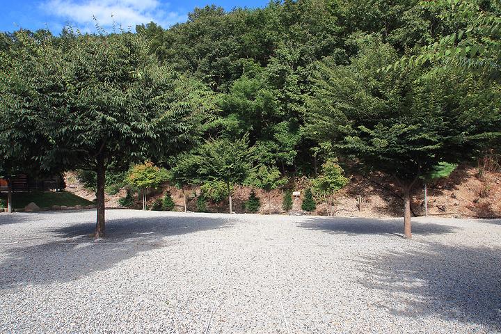 [경상북도 문경시] 해바라기 캠핑장 – 한여름 피서지로 안성맞춤 캠핑장