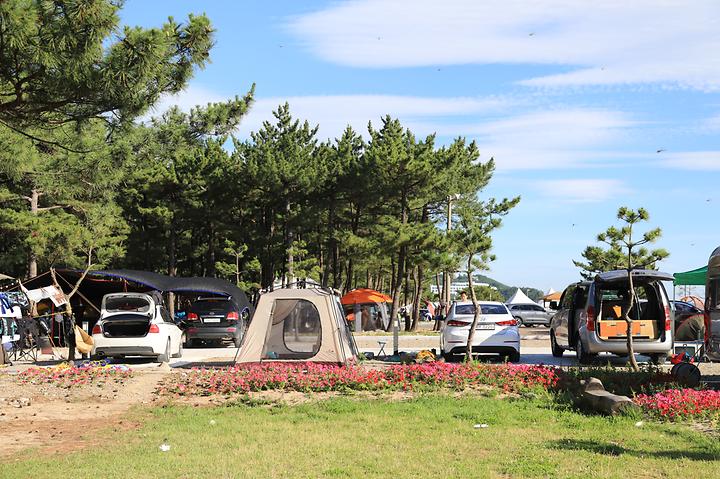 [강원도 양양군] 낙산해수욕장 야영장