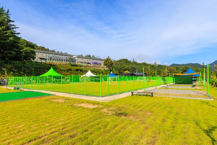 [경상북도 칠곡군] 대양 야영장 – 대구에서 15분 내 위치한 다부동 야영장