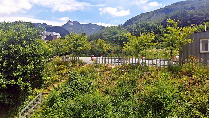 [충청북도] SOL Camping – 청정한 괴산에 위치한 조용한 아담한 캠핑장