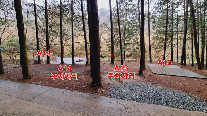 [전라남도 장성군] 편백힐 치유의숲 야영장 – 피톤치드가 가득한 싱그러운 편백힐야영장에서 힐링하자.