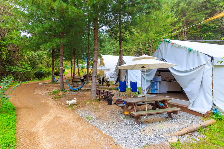 [충청북도 제천시] 수피아글램핑펜션