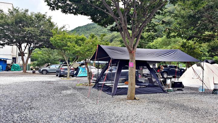 [충청북도] 솔밭캠프 – 깨끗한 자연속에서 힐링하는 캠핑장